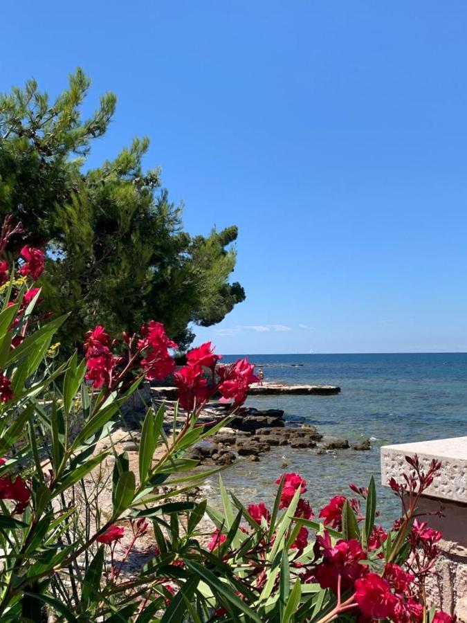 Apartments Valentina Umag Zewnętrze zdjęcie